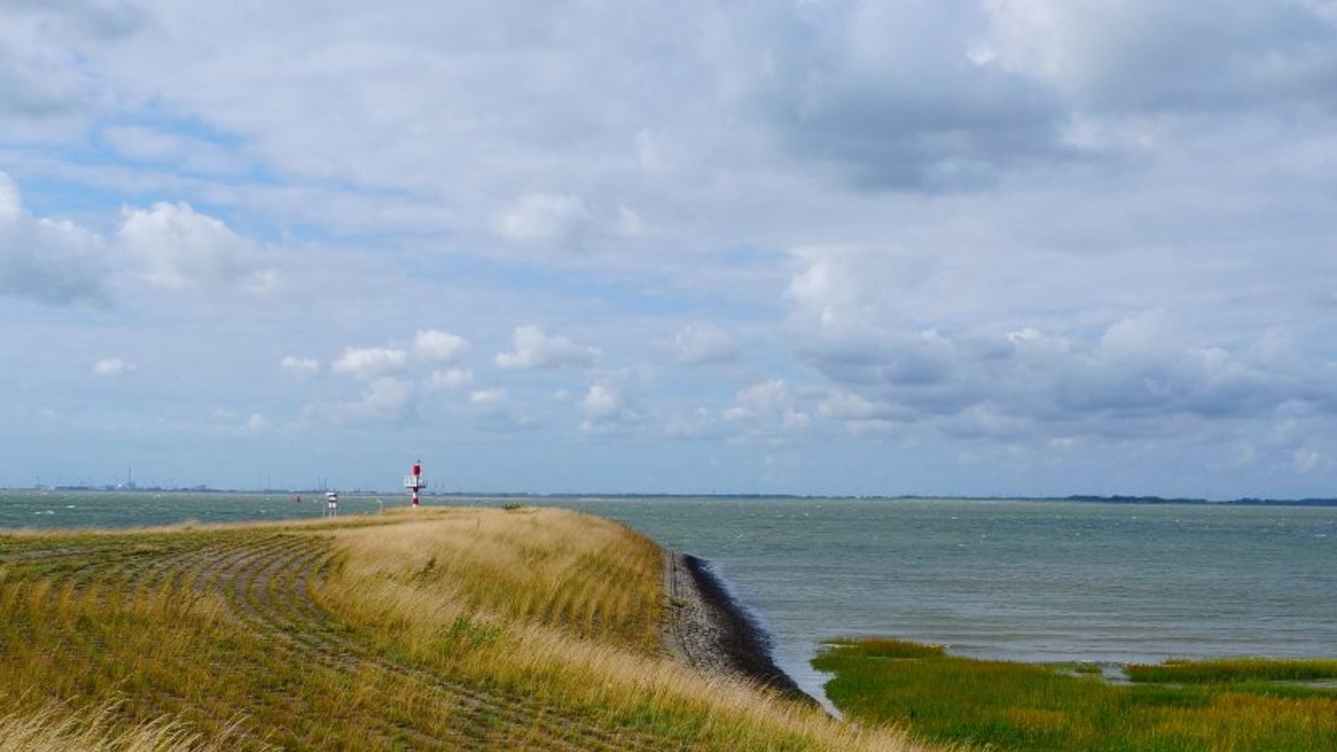 Bus huren Terneuzen