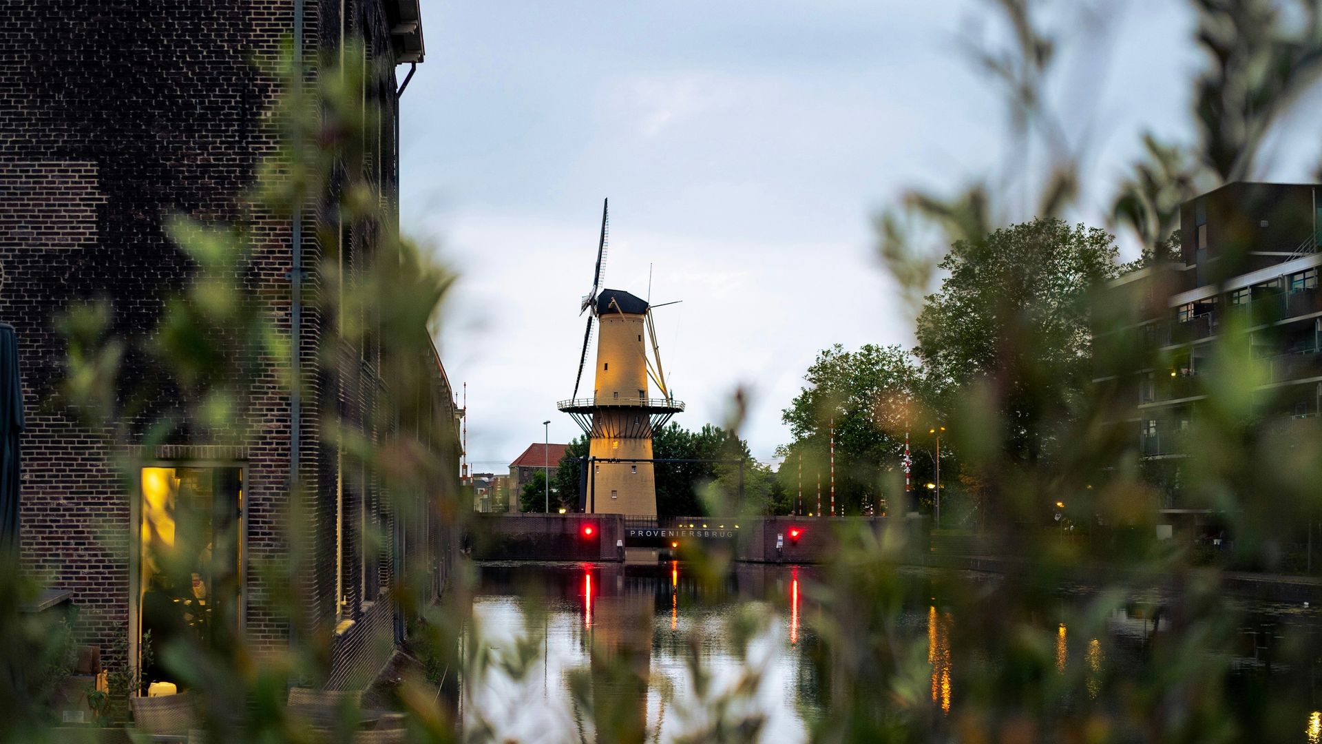 Schiedam