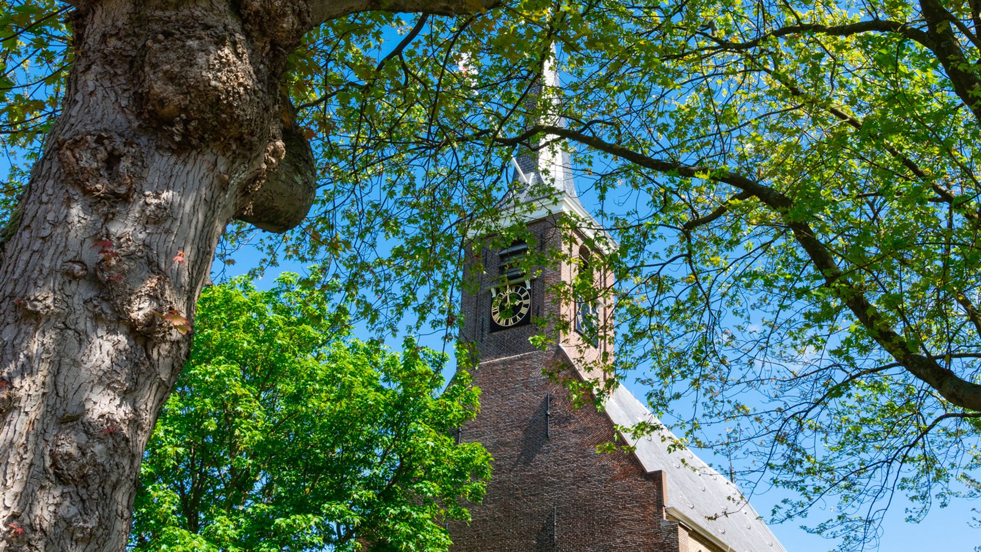 Touringcar met chauffeur in Barendrecht