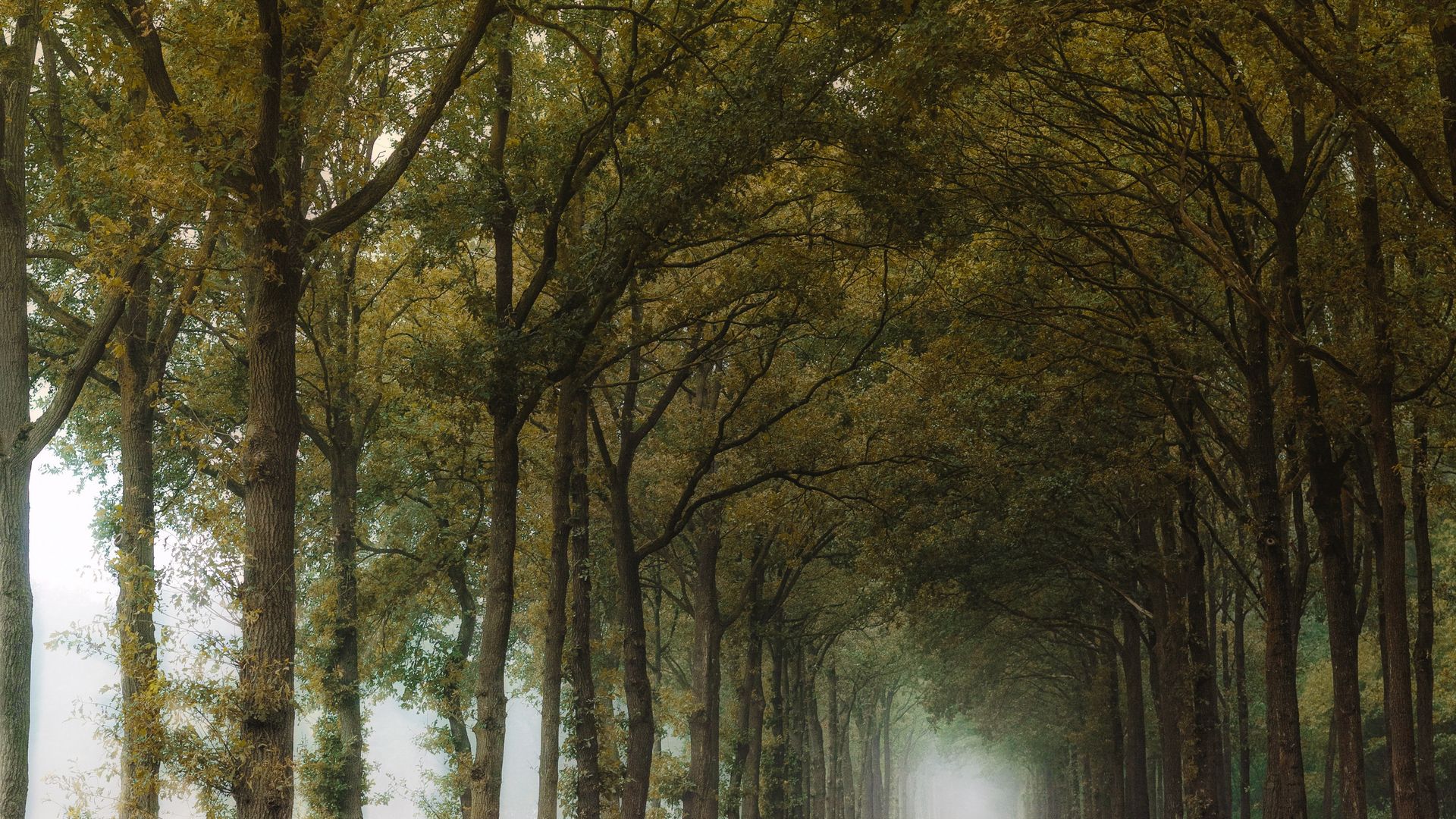 Bus huren Gelderland