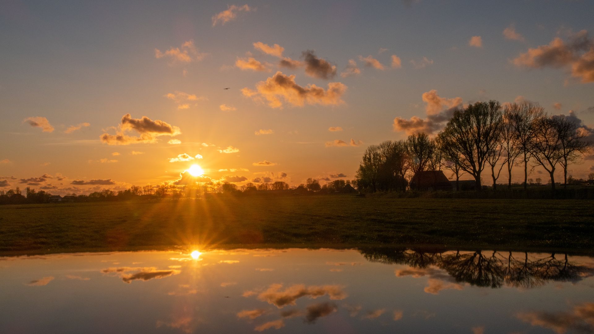 Bus huren met chauffeur naar de Friese Meren