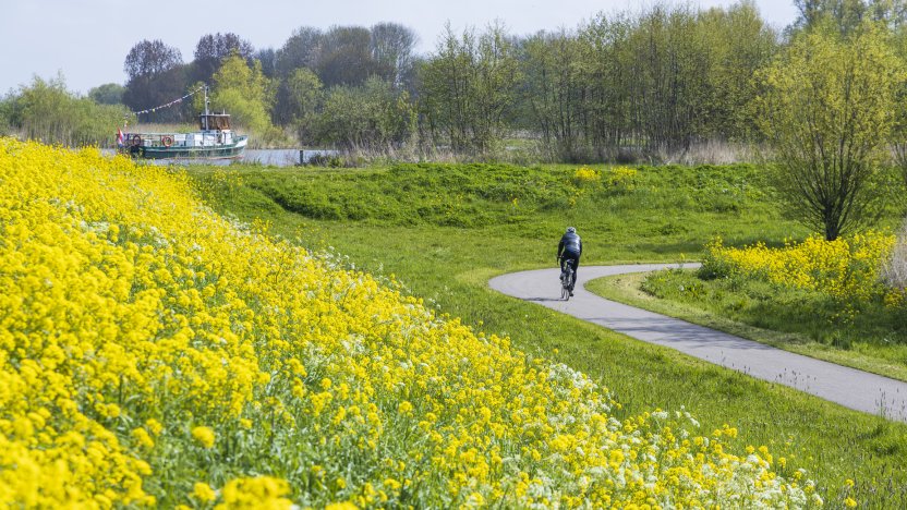 Bus huren in Vlaardingen met HelloBUS